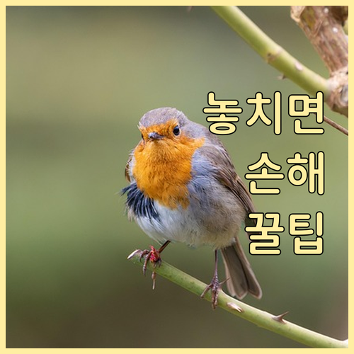 과태료 피하는 법? 북창동 쓰레기 배..