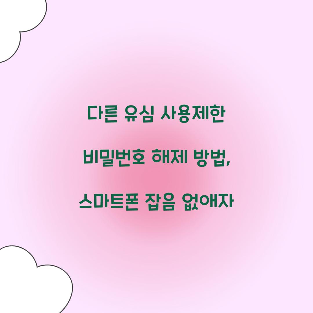다른 유심 사용제한 비밀번호