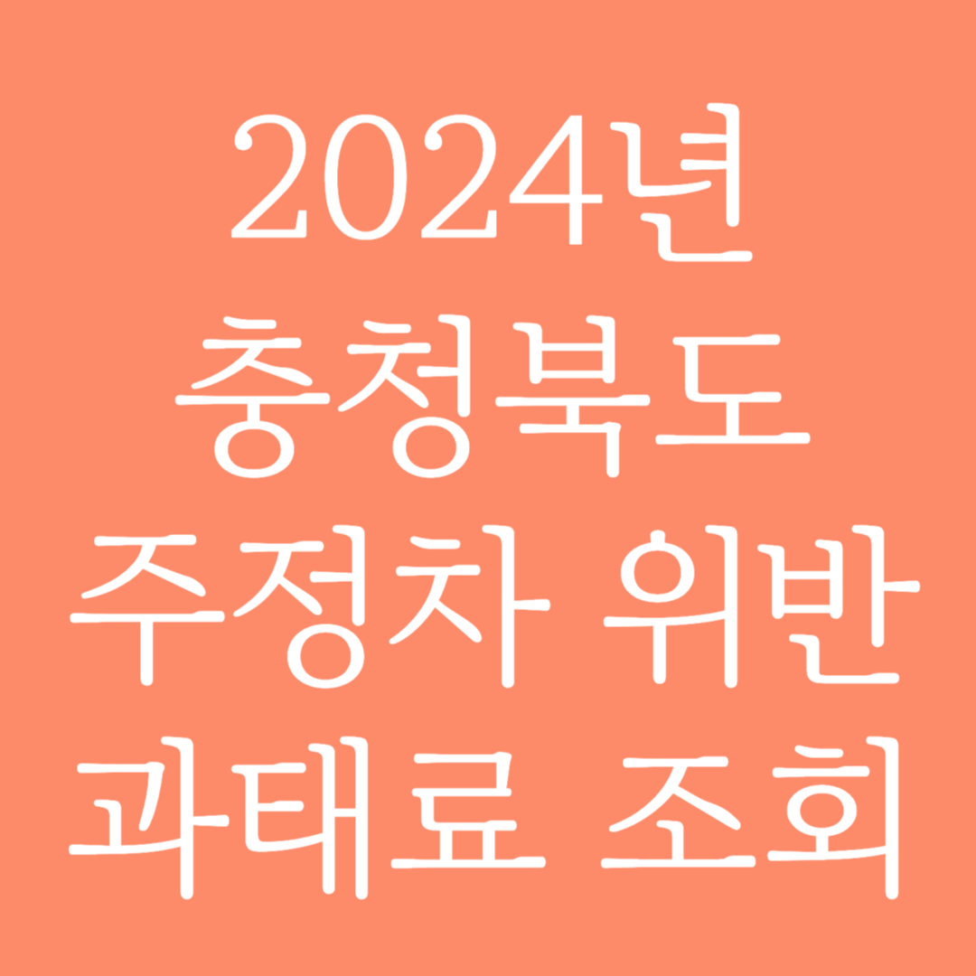 2024년 충청북도 주정차 위반 과태료 조회하기