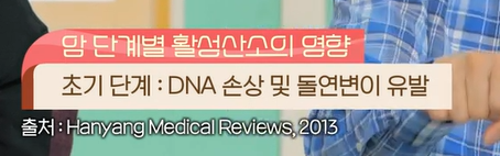 글루타치온 효능