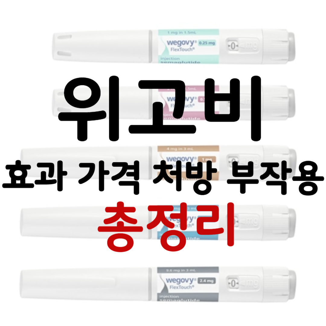 위고비 관련 사진