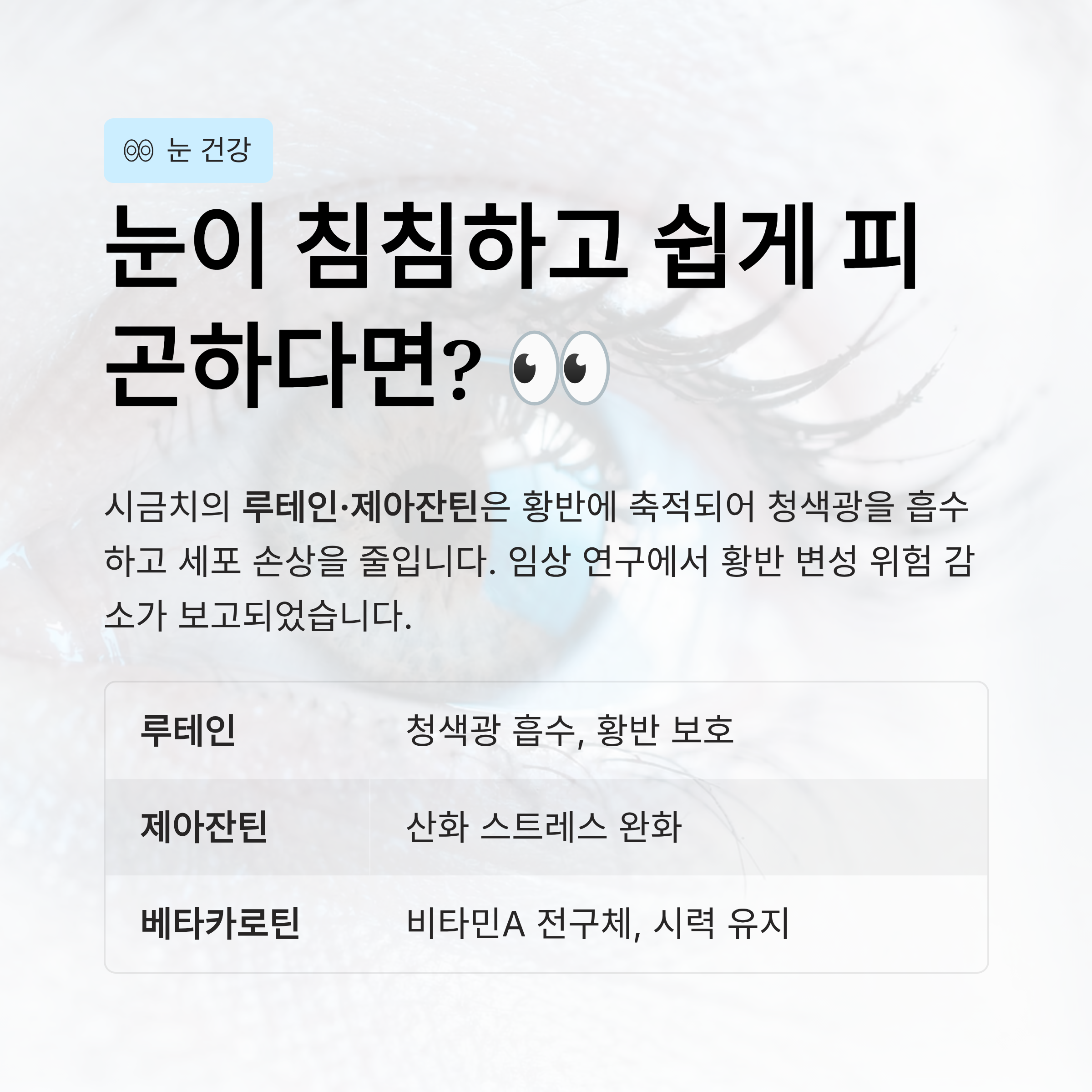 눈이 침침하고 쉽게 피곤하다면? 눈 건강과 항산화 작용