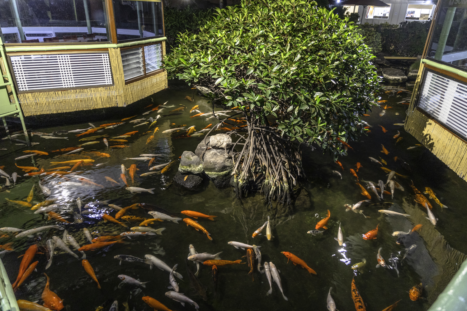 하와이 한식당 서라벌