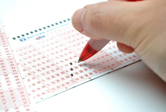 1169회 로또 당첨 결과 당첨번호 당첨지점 확인하기