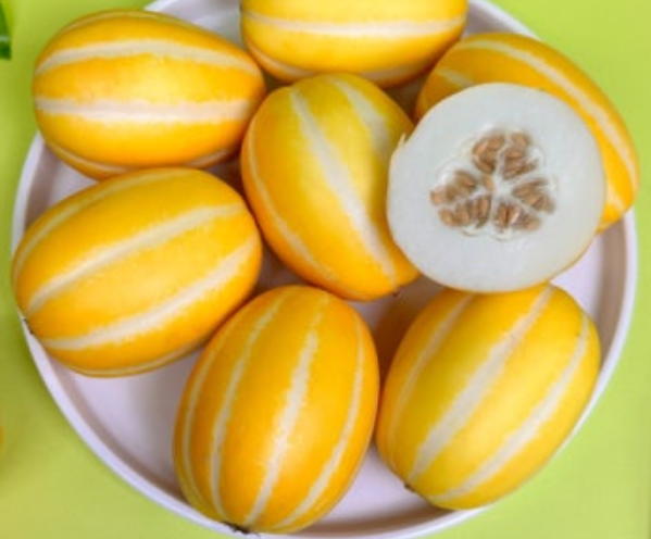 참외-효능-부작용-하루-섭취량-관련-사진