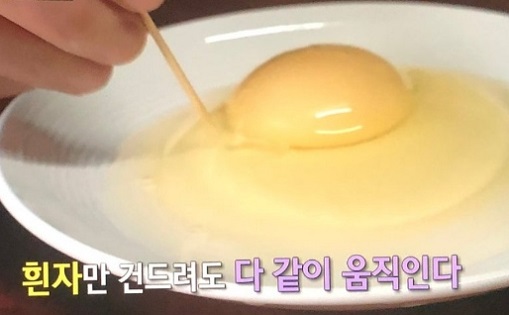 유정란정기구독