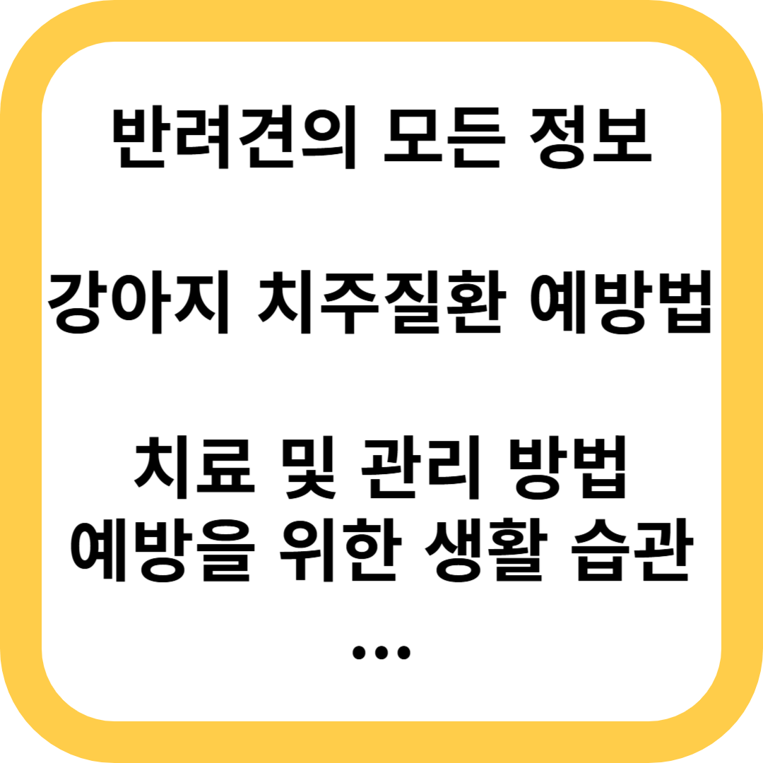 강아지 치주질환 예방법