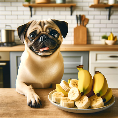 강아지와 바나나