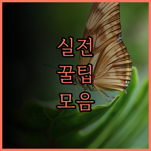 네이처 부티크 호텔 @ 치앙마이.. 