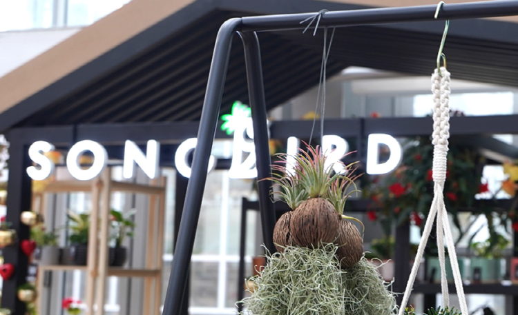 가평 베고니아 새정원