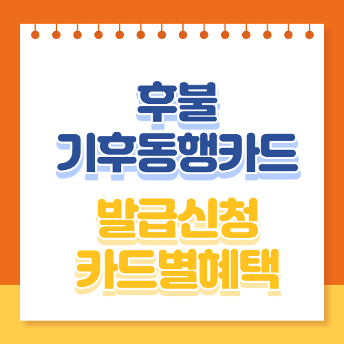 후불 기후동행카드 발급신청 카드별혜택