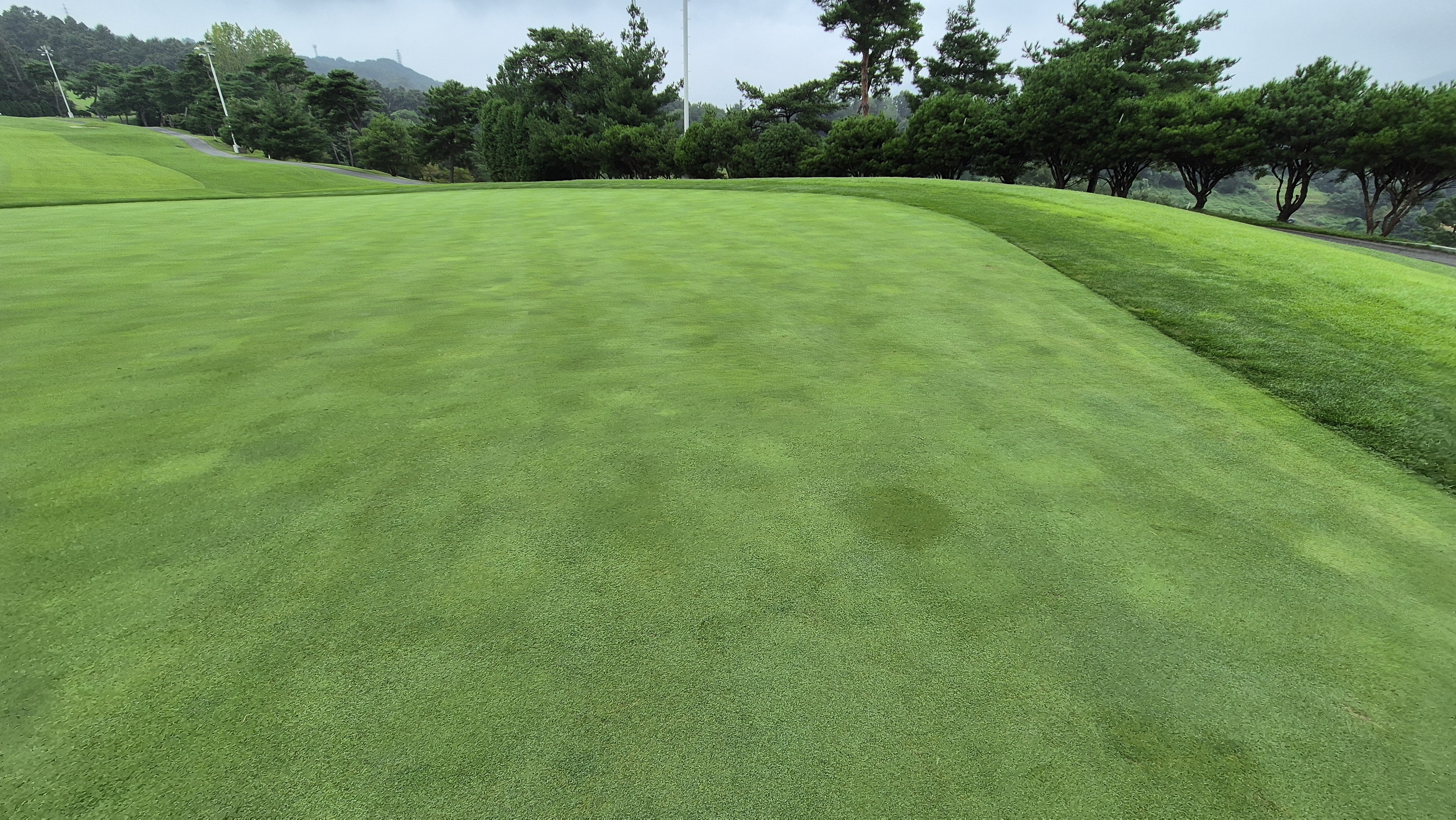 골프존카운티 진천