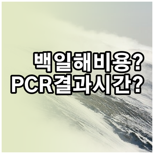 백일해 검사 비용과 PCR 방법 및 ..