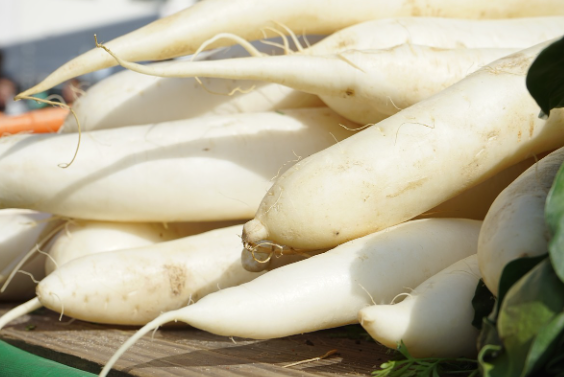 겨울무-보관방법