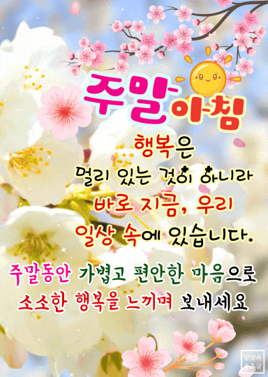 벚꽃과 햇살 배경에 ‘주말 아침’ 글귀가 어우러진 따뜻한 이미지