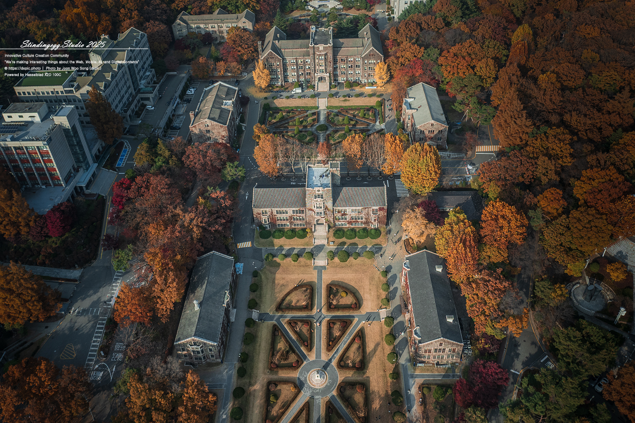 #서울 #신촌 #연세대 #연세대학교 #모교 #단풍 #가을