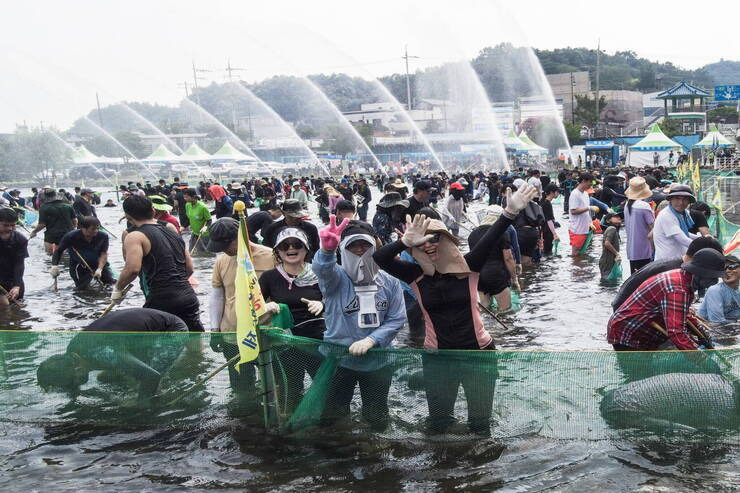 장흥군 물 축제