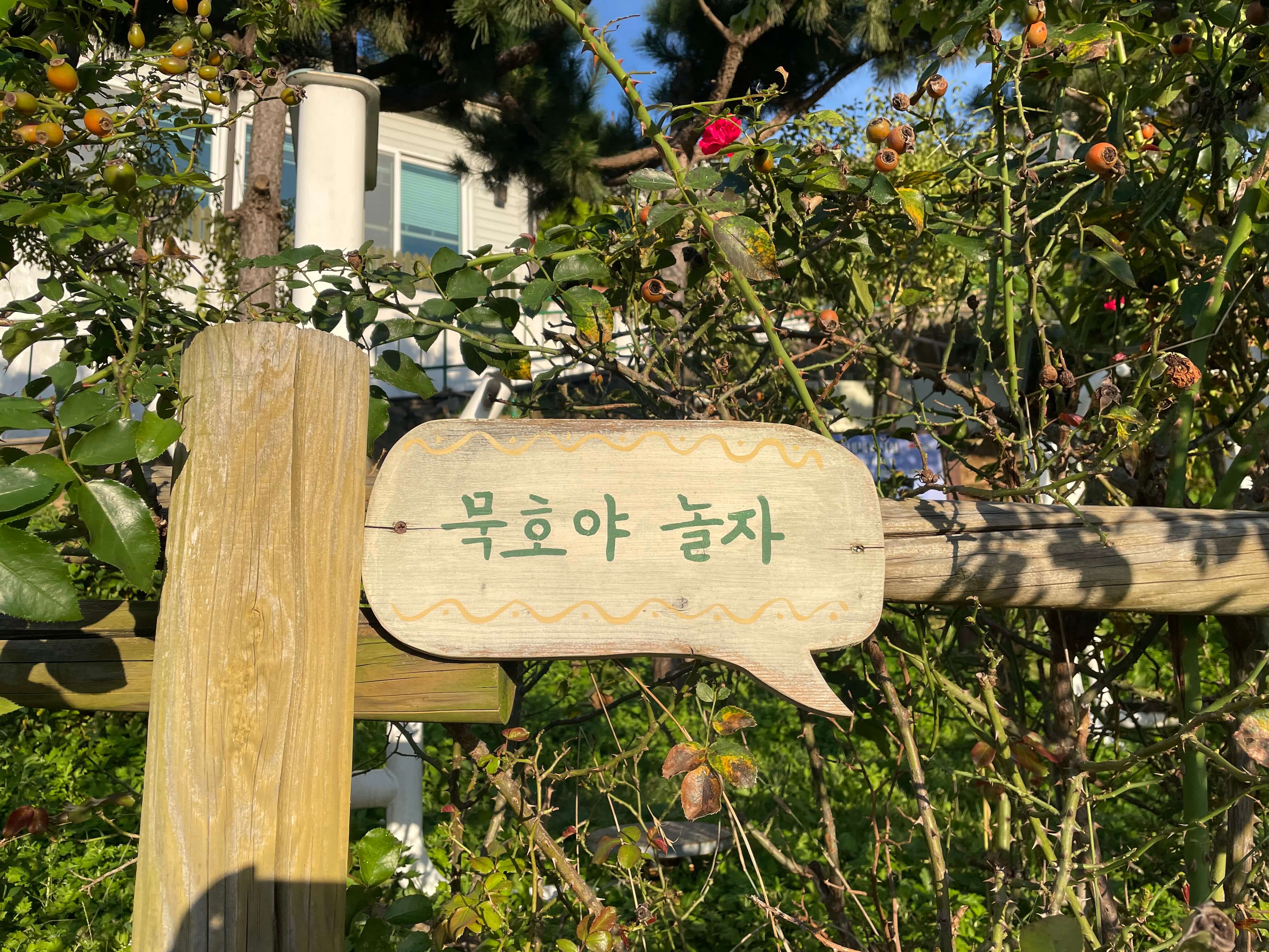 동해 가볼만한 곳 베스트10