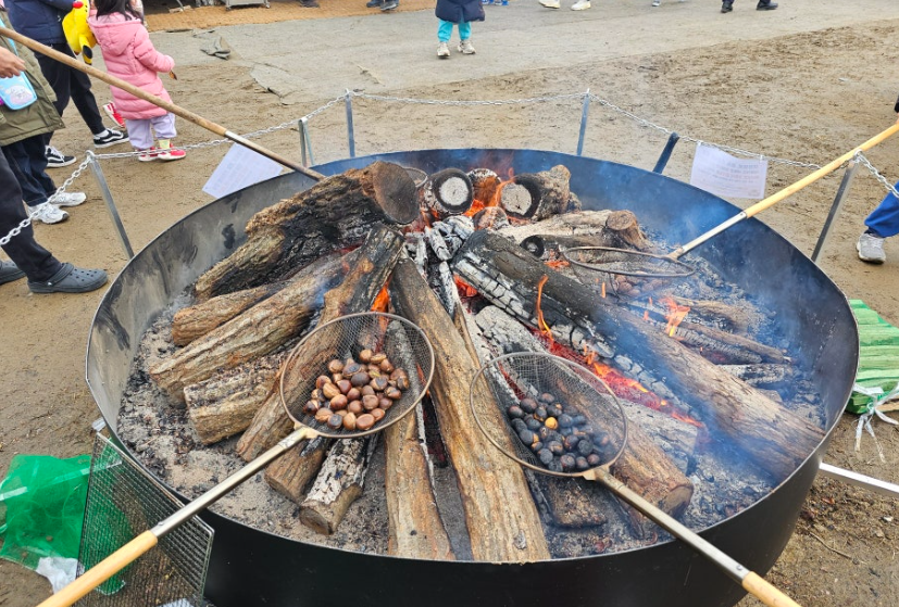 겨울공주 군밤축제