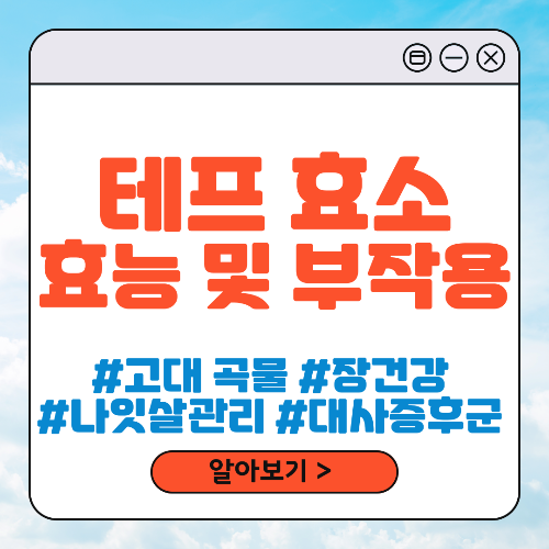 테프 효소 효능 및 부작용