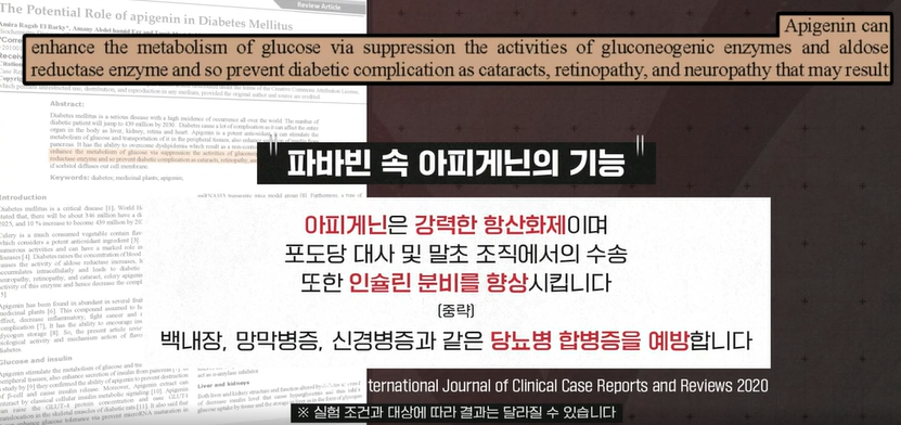 파바빈 효능