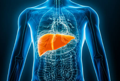 입냄새 원인 간질환