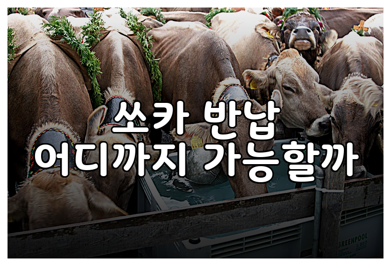 쏘카 반납 어디까지 가능할까