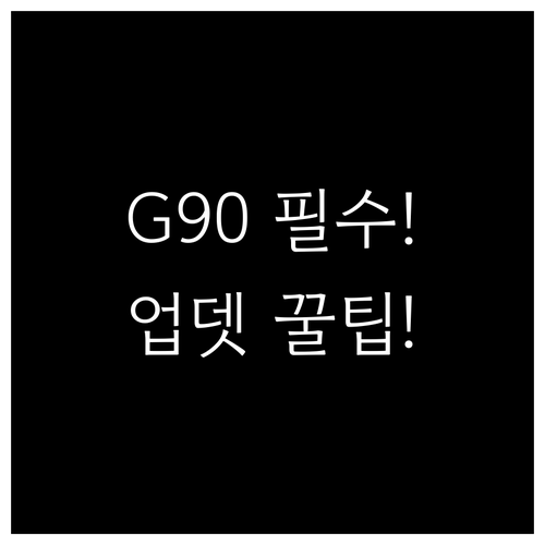 제네시스 G90 내비 업데이트 비용 ..