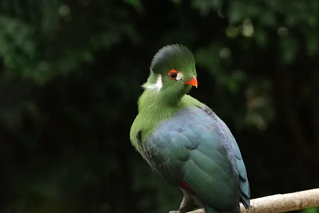 폴리코사놀 효능 알아보기 건강 보조제 정보_6