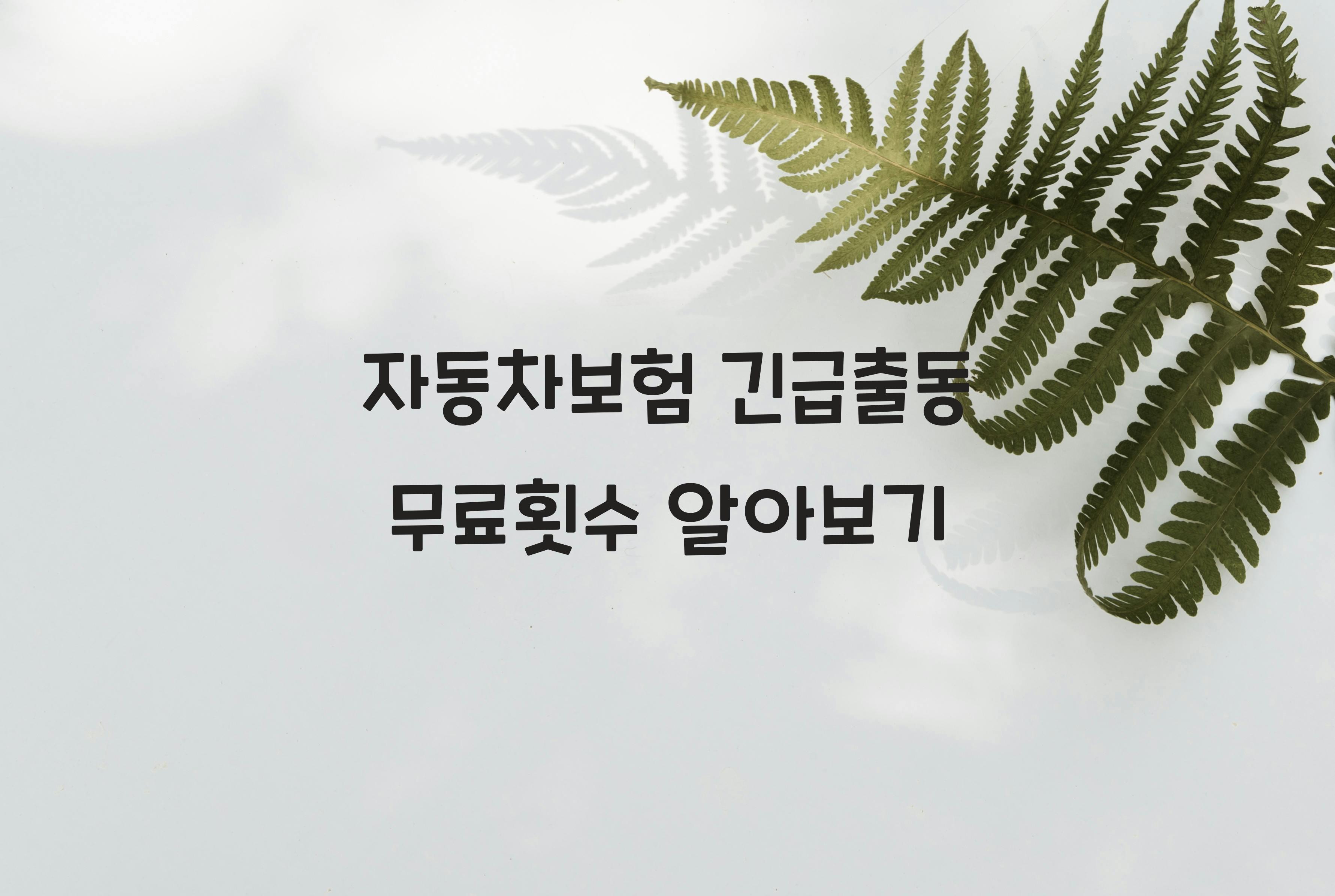 자동차보험 긴급출동 무료횟수