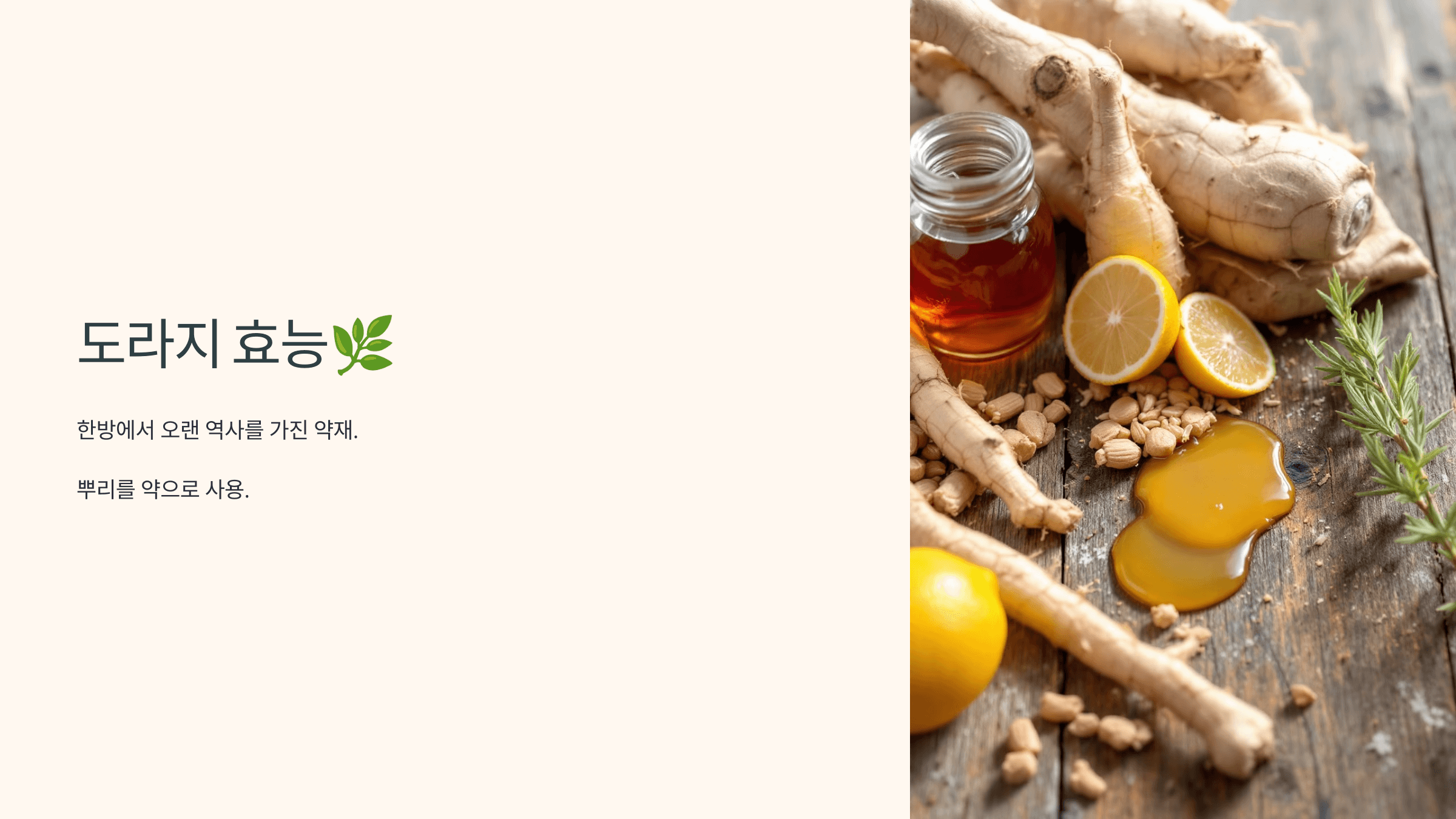 도라지 사진입니다.