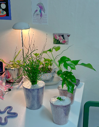 온라인 식물가게