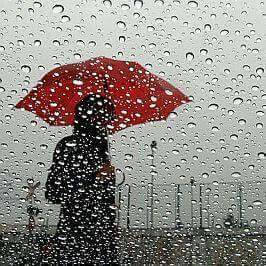 이슬비와도 같은 자수