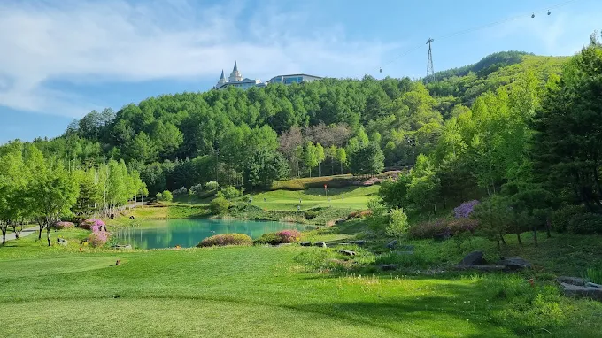 정선 '하이원 컨트리클럽' 소개 및 이용방법