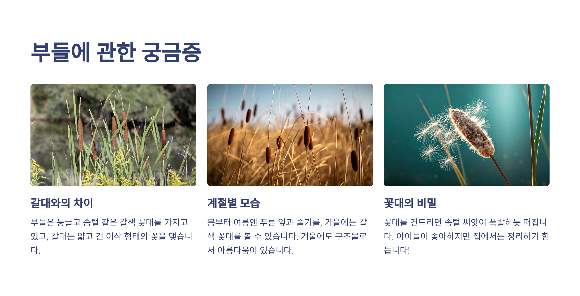 부들