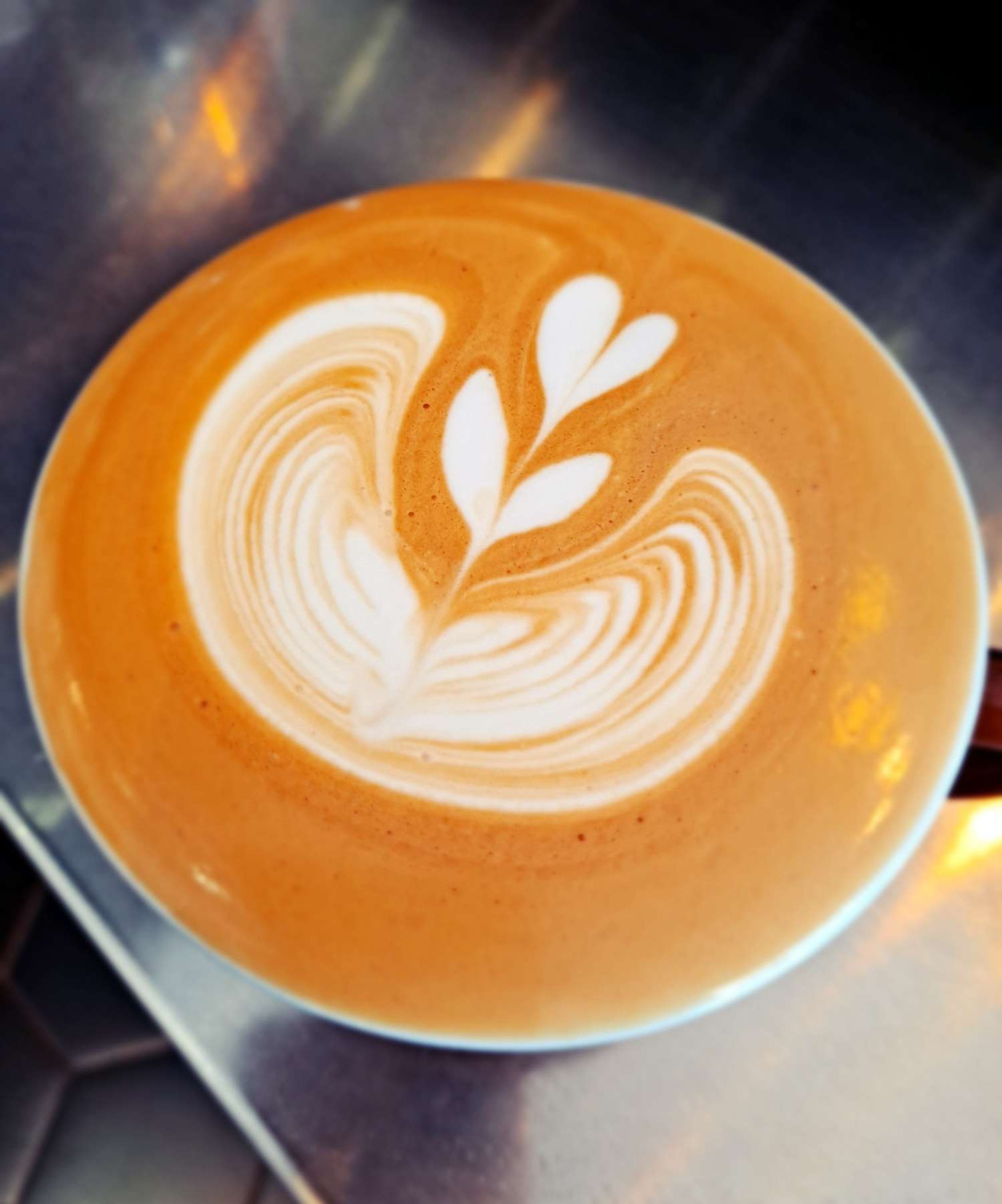 라떼 3단윙튤립