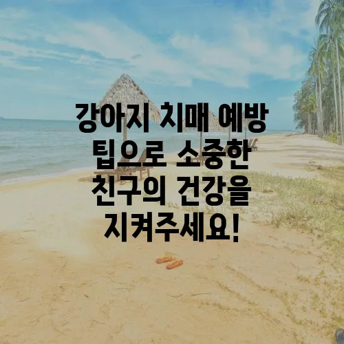 강아지 치매 예방 팁으로 소중한 친구의 건강을 지켜주세요!
