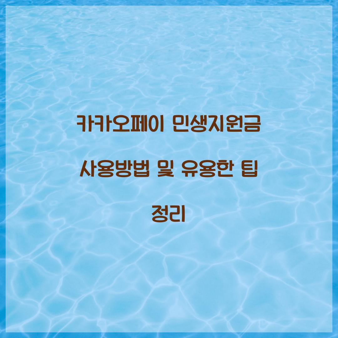 카카오페이 민생지원금 사용방법