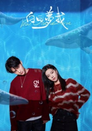 [중드 추천] 백일몽아 28화 29화 30화 줄거리 결말 등장인물 장달비 주익연