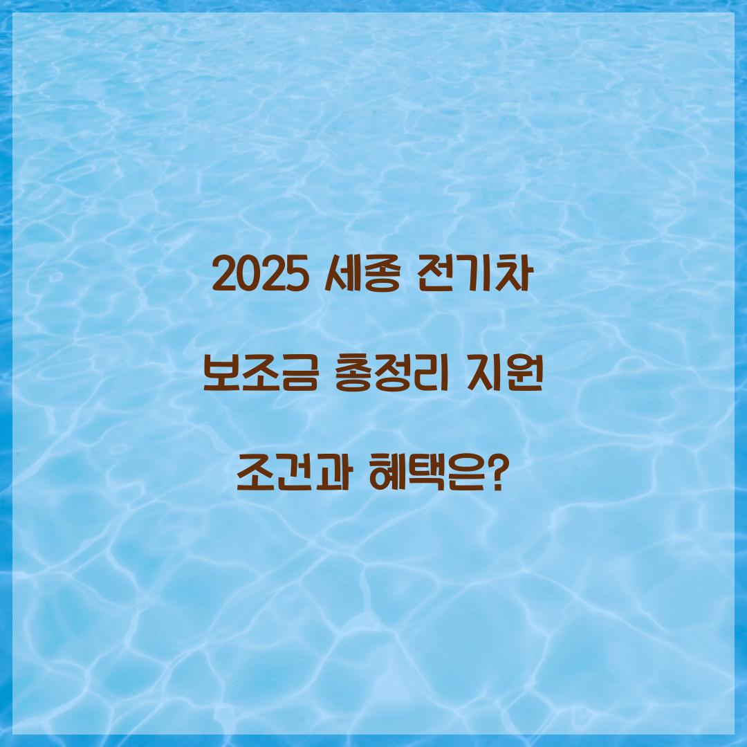 세종 전기차 보조금