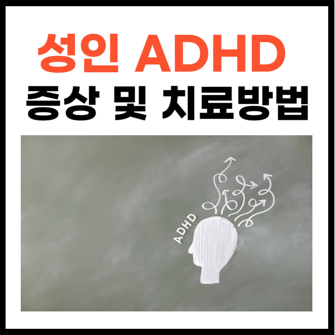 성인 ADHD 증상 및 치료방법