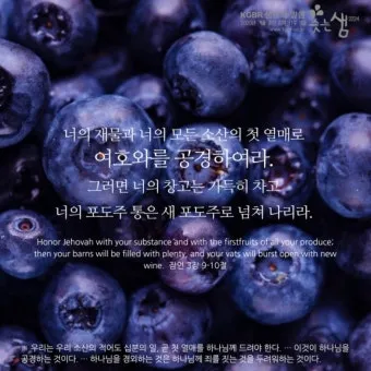 잠언 31장 25절 읽기 - 능력과 존귀로 옷을 삼고 후일을 웃으며_11