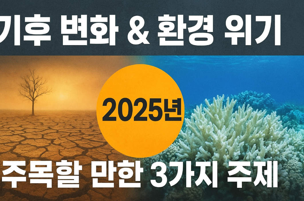 기후 변화와 환경 위기: 인류가 직면한 가장 큰 도전