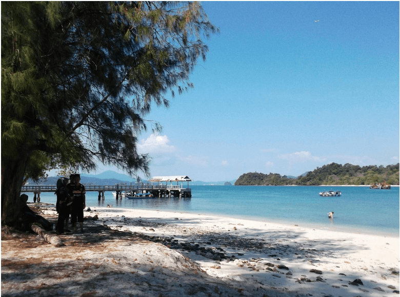 항공권 특가 놓치지 마세요! 인스턴트립·고고씽 추천