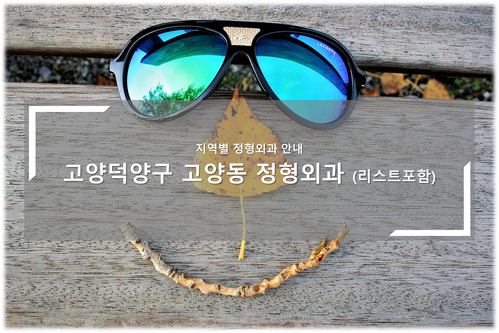 고양시 덕양구 고양동 정형외과