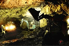 광명동굴 입장료