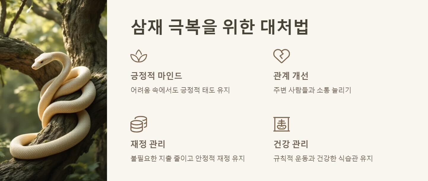 2025년 삼재띠