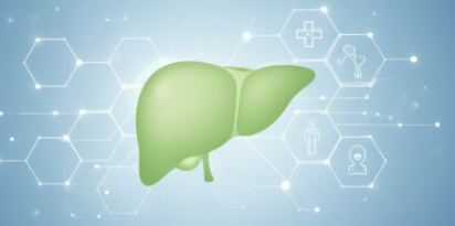 타이레놀 복용량