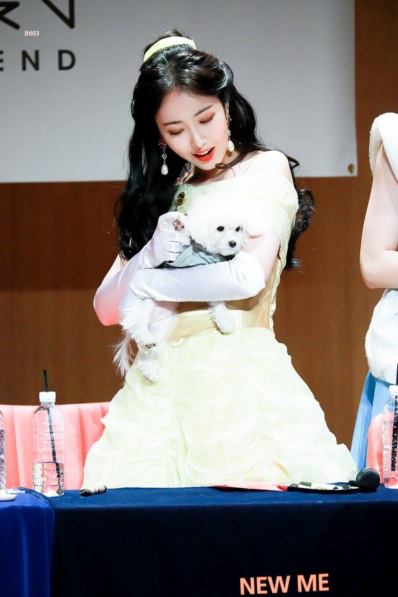 여자친구 팬사인회 모음