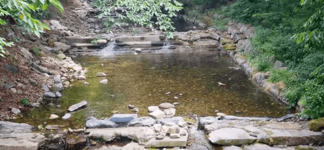 아산 강당골계곡